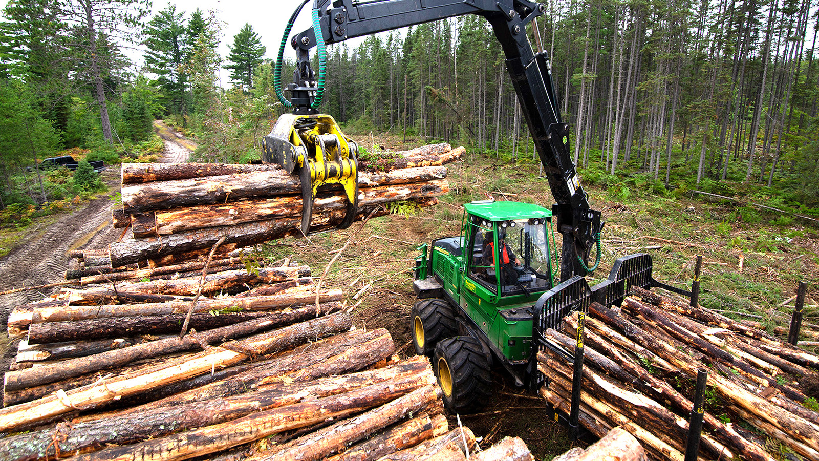 Timber harvesting