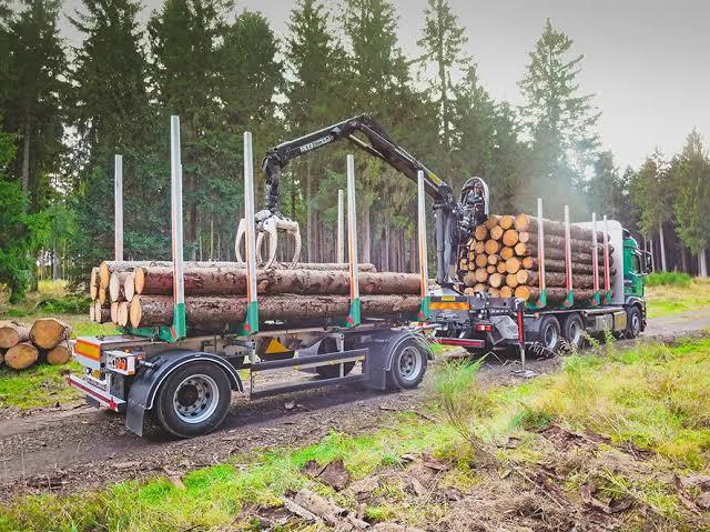 Timber transport
